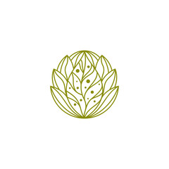Nature logo design template with green leaves and water bubbles in minimal line circle emblem style
