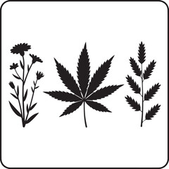 cannabis leaf vector illustration