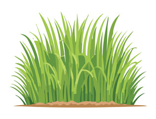 Beautiful Green Tree with Leaves and Crown