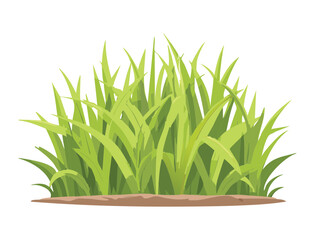 Lush Green Grass Bush with Bright Highlights