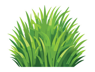 A Bush of Healthy Meadow Grass