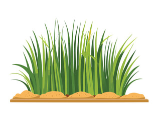 A Bush of Fresh Green Grass Plants