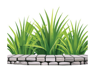 A Bush of Green Grass with Paving Stones