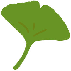 Obraz premium 초록 은행잎