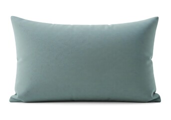 上品なベルベット生地のロングクッション