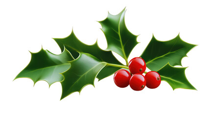 A holly leaf design with deep green clolors on trasparent background PNG
