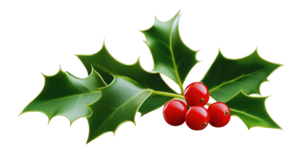A holly leaf design with deep green clolors on trasparent background PNG
