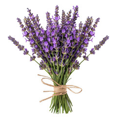 Naklejka premium Lavender flowers tied in a bundle with ribbon transparent background.
