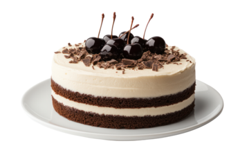 Black Forest Cake Delight: A tantalizing black forest cake, beautifully presented on a pristine plate.