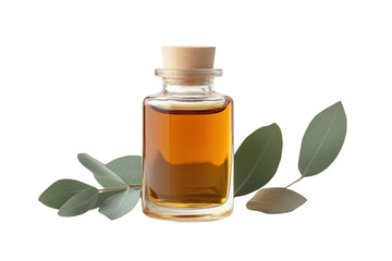 Eucalyptus Oil Essence: A close-up shot of a glass bottle filled with aromatic eucalyptus oil, complemented by fresh eucalyptus leaves, epitomizing natural remedies.