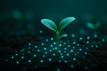AI generated image of a small green seedling emerging from dark moist soil with glowing digital grid representing sensor network for smart agriculture and real time data integration