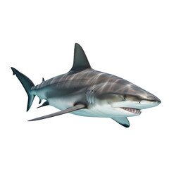 Fototapeta premium A powerful shark swims gracefully underwater, its sleek body and sharp teeth visible, representing ocean life.