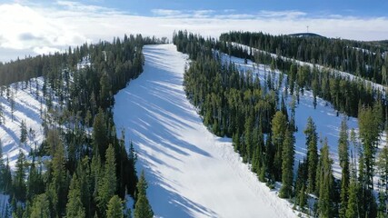 High-altitude drone footage of a snow-covered mountain featuring ski runs, tall pines, and breathtaking winter views stretching across a pristine alpine landscape. - Powered by Adobe