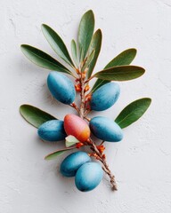 Obraz premium Premium High-Quality Indigo Blue Olive Branch with Green Leaves Modern Natural Lifestyle Concept for Marketing and Social Media Content