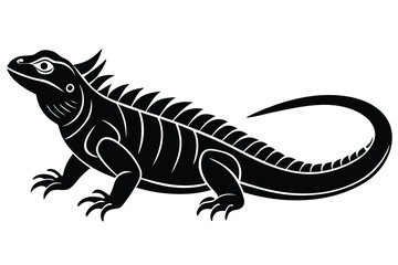 Fototapeta premium Black and White Illustration of a Spiky Iguana with Curled Tail on White