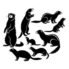 Silhouette Illustrations of Angora Ferret, Various Mustelid Animals in Different Dynamic Poses