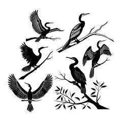 Stylized Illustrations of Anhinga birds on Branches in Minimal Black Ink Style