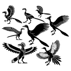 Silhouette Illustrations of archaeopteryx Prehistoric Birds On White Background