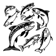 Black and White Illustrations of Various Arctic Char Fish Species
