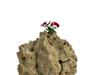 3D Render of Bermuda Flag Draped Over Coral Rock with Ocean Waves in Background