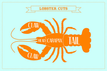 Lobster Cutting Guide with Blue Background in vector format