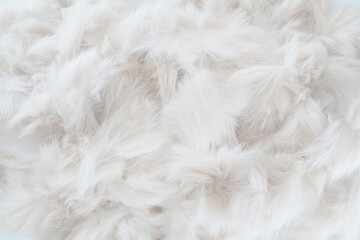 Soft White Feather-Like Fluffy Background　　ふわふわした羽毛のような白い背景