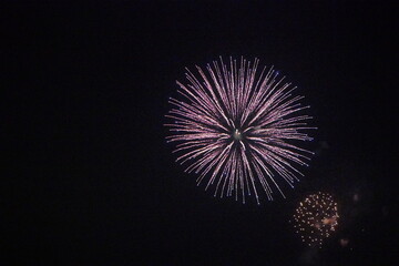 Bright Purple Fireworks Blooming in the Night Sky – A Spectacular Summer Festival Moment