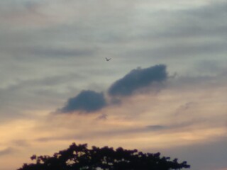 airplane in the sky at sunset,Cloud the sky