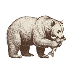 A modern engraving style is used to render a hand-drawn ink sketch illustration