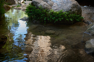 Beautiful rippling water flowing beside greenery and rocks in a serene outdoor environment, evoking calmness and connection to nature.