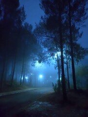 Obraz premium Mysterious Fog Envelops a Quiet Forest Path Illuminated by Soft Blue Lights at Night