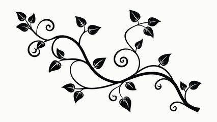 Vector art of black and white botanical vine with leaves and swirls, isolated on white background.