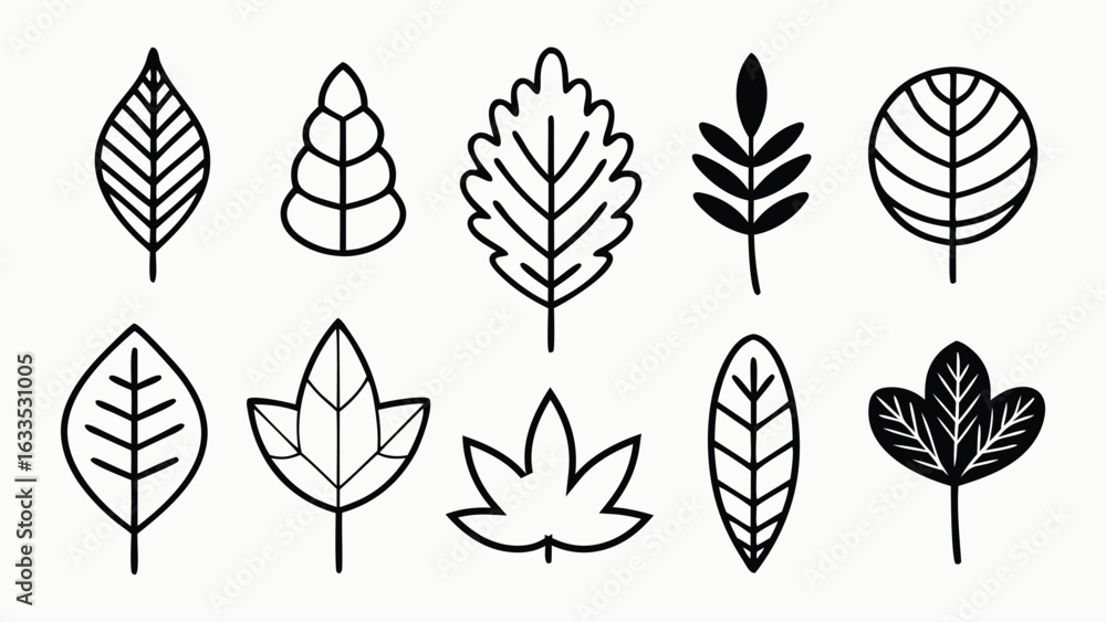 Poster vector art of collection of ten different stylized leaf outlines in black and white, isolated on a w