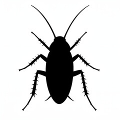 vector illustration of a black bug