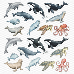 Fototapeta premium A collection of watercolor illustrations of marine animals like dolphins, whales, seals, turtles, and octopuses.