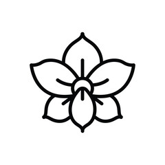 Black line icon for orchid