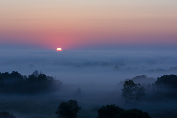 Misty Sunrise Over Forested Landscape
