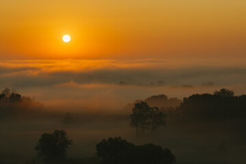 Golden sunrise over misty forest landscape