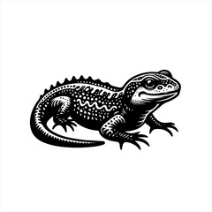 Obraz premium Detailed Black and White Lizard Illustration.