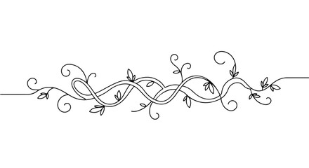 Intricate border design with intertwining vines and delicate leaves in black outline