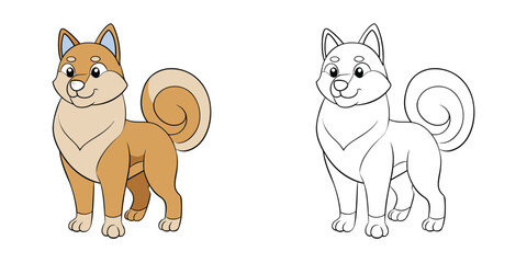 Akita dog standing strong with curled tail and fluffy fur