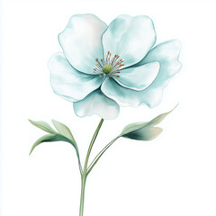A delicate watercolor painting of a single white flower with green leaves on a white background art piece