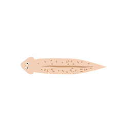 Cartoon Planaria flatworm vector illustration