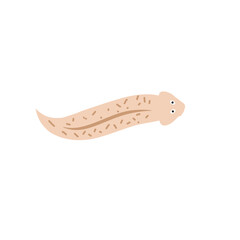 Cartoon Planaria flatworm vector illustration