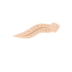 Cartoon Planaria flatworm vector illustration