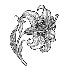 Elegant Lily Line Art &ndash; Intricate Floral Sketch for Decorative Use
