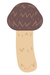 松茸のイラスト