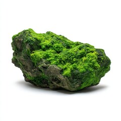 A close-up image of a green moss-covered rock