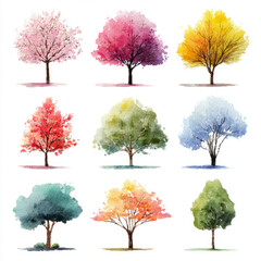 Obraz premium Watercolor Tree Collection with Seasonal Foliage