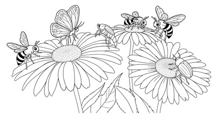 Insects on daisies: black and white floral coloring page